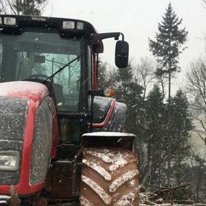 Woodsman Tree Care - Bristol/Bath based tree surgeons