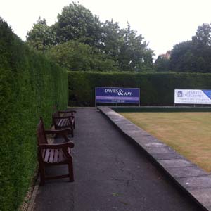 Woodsman Tree Care - Bristol/Bath based tree surgeons